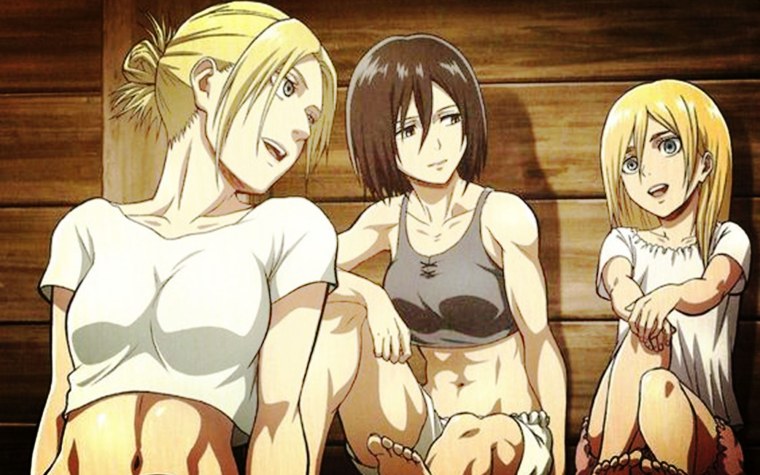 Дакимакура атака титанов Микаса