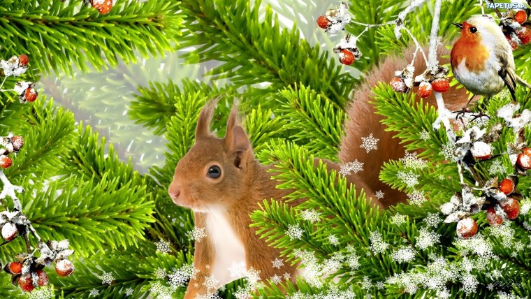 Новый год природа животные