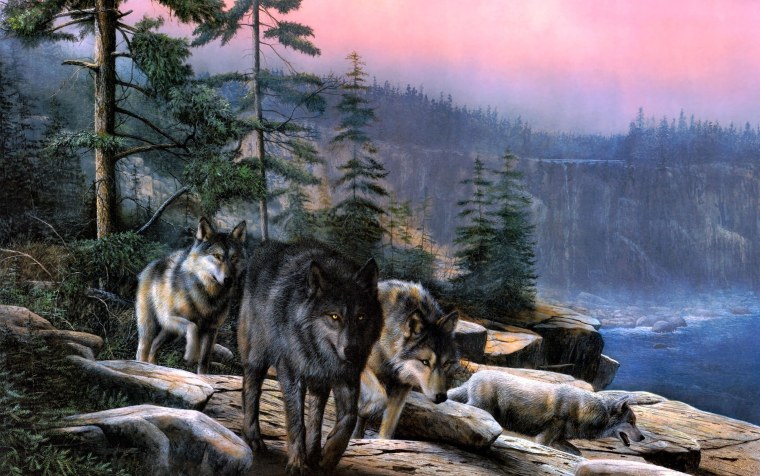 Красивые пейзажи с волками