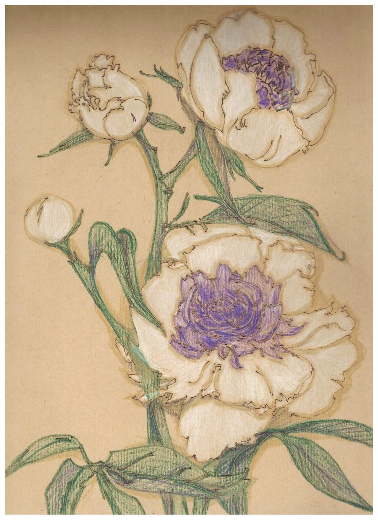 Ботаническая акварель антиквариат чертополох