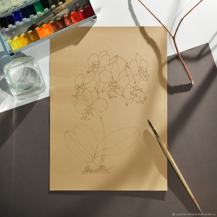 Картина ботаник Автор