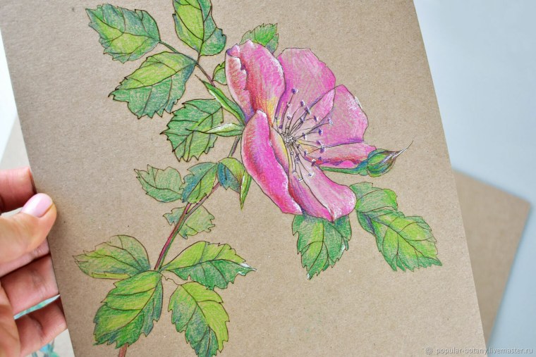 Гладиолусы пастелью