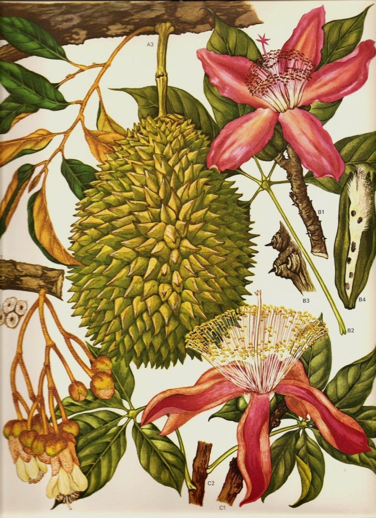 Виктор Ткаченко художник цветы