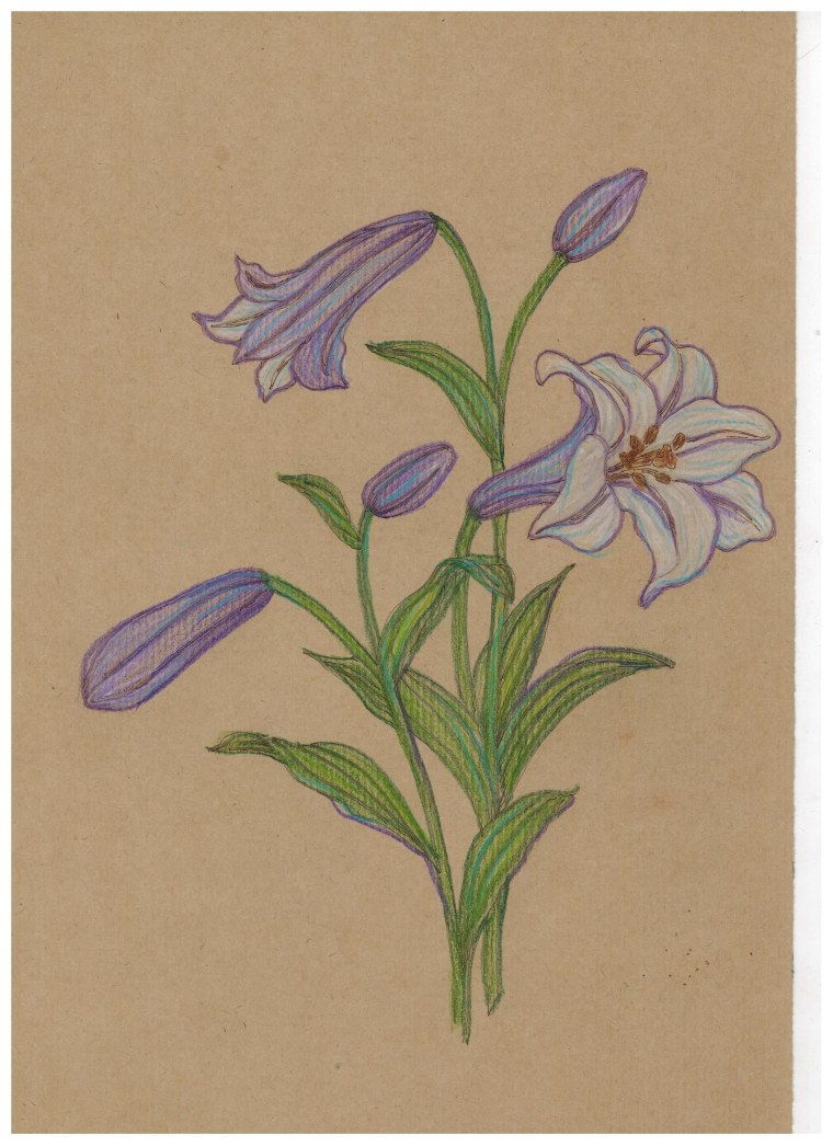 Карандаш графитный с кристаллом Botanique 36 шт