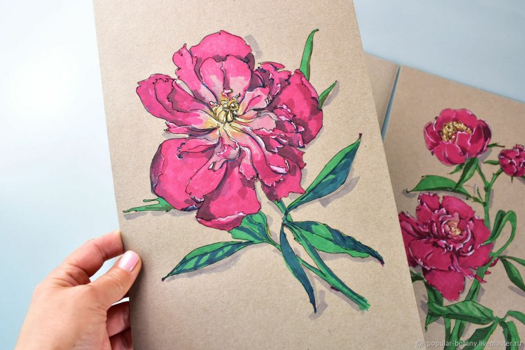 Рисование ботаника цветными карандашами