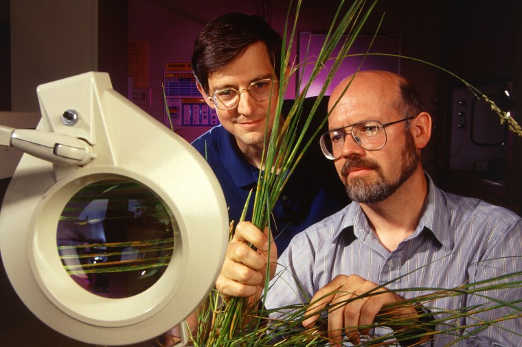 Мокап меню а3