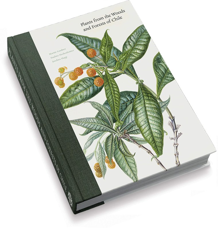 Карпофор ботаника