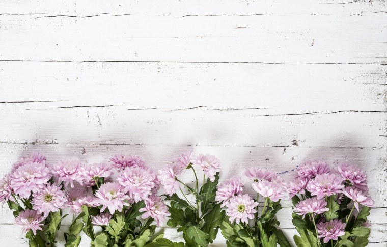 Красивый фон с цветами