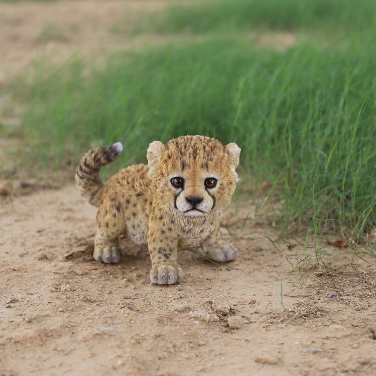 Милые гепарды