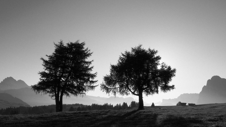 Черно белый пейзаж