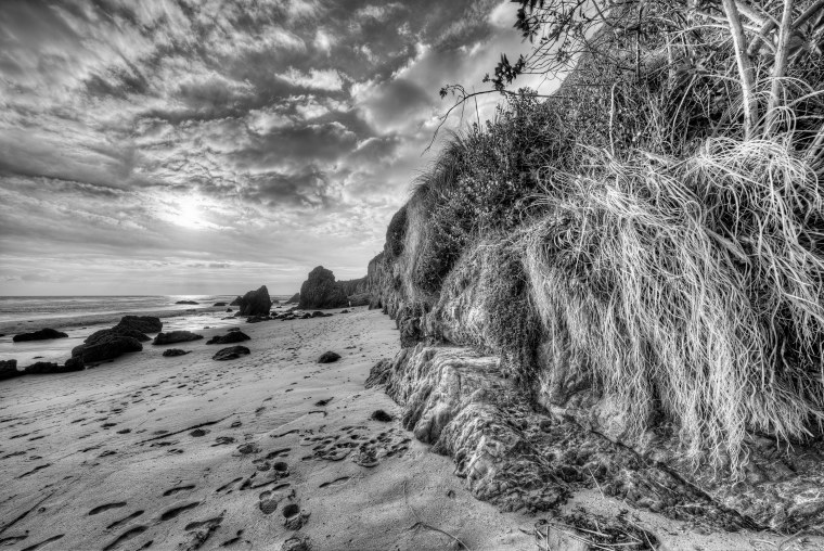 Черно белые картины природы