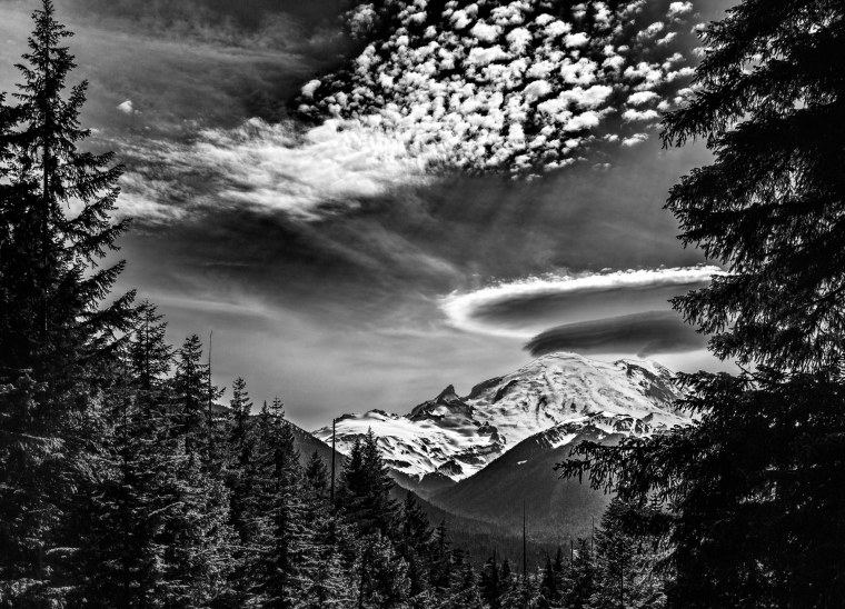 Черно белый пейзаж