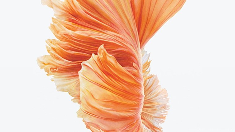 Обои iphone 6 оригинальные