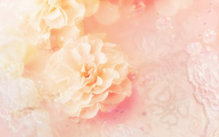 Нежный цветок