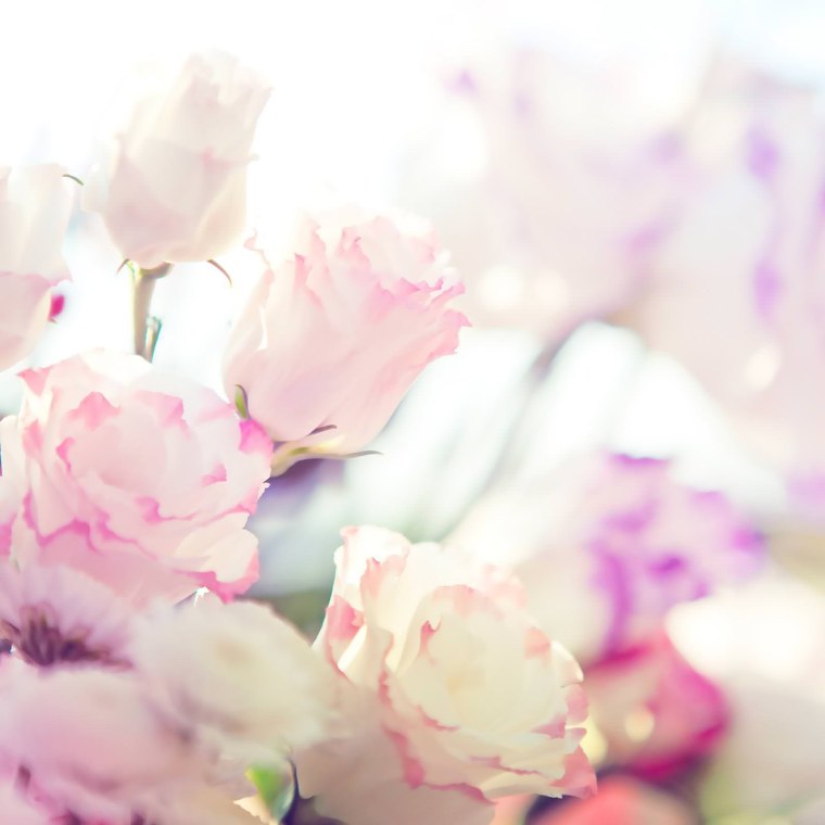 Цветы в пастельных тонах