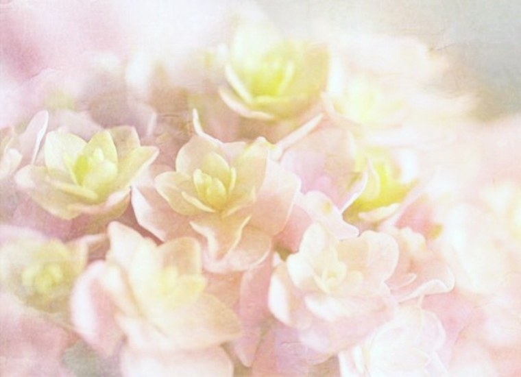 Цветы в пастельных тонах