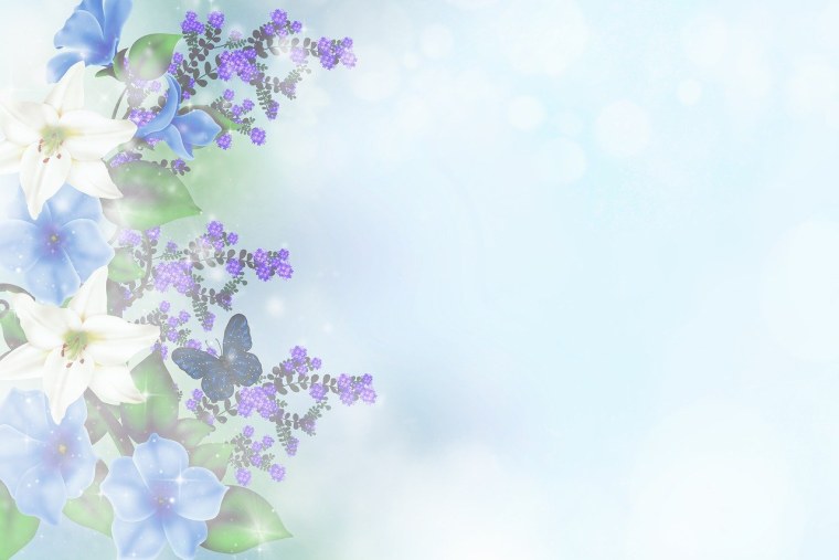 Фон цветы боке