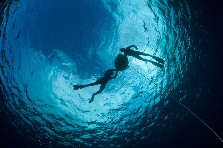 VWT фридайвинг