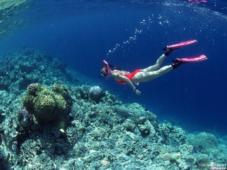 Фетхие снорклинг