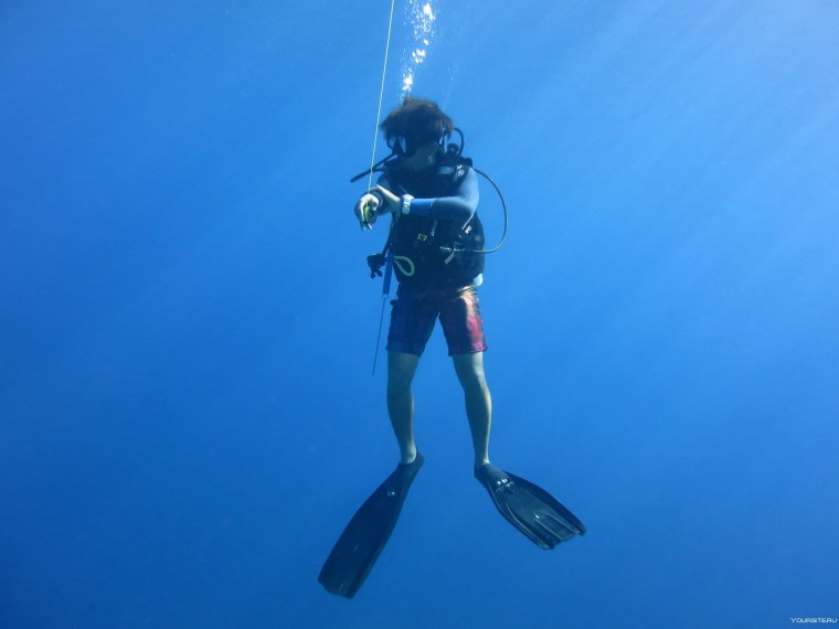 Джессика кокс аквалангист