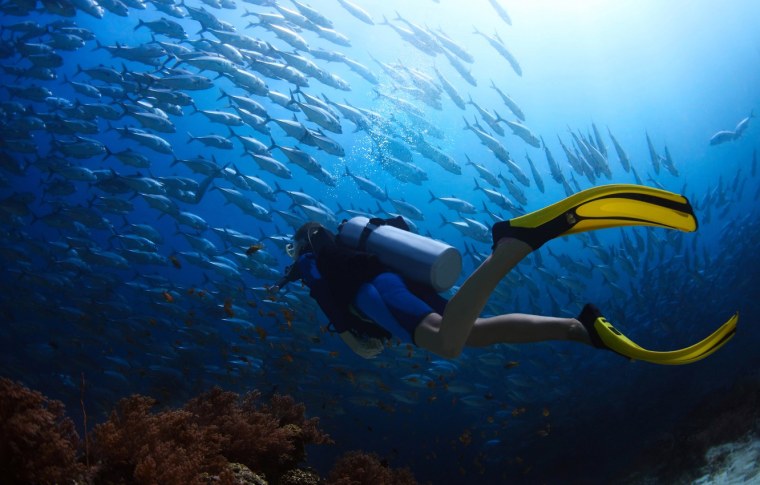 Подводное плавание с аквалангом