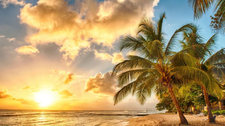 Шиваки STV-49 led 42s