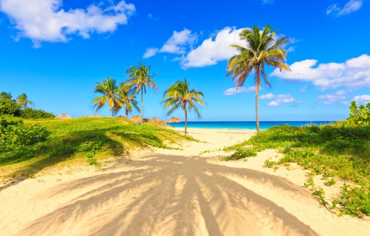 Пальмы песок