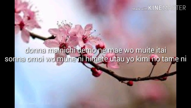 Черри блоссом