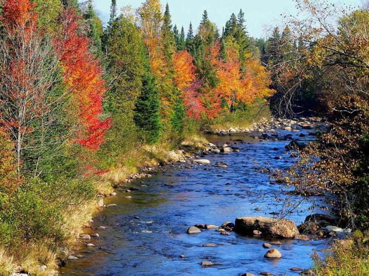 Осенняя река