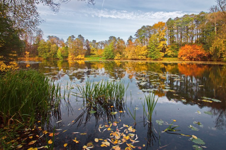 Осеннее озеро