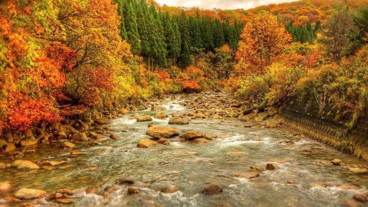 Золотая осень озеро природа река лес