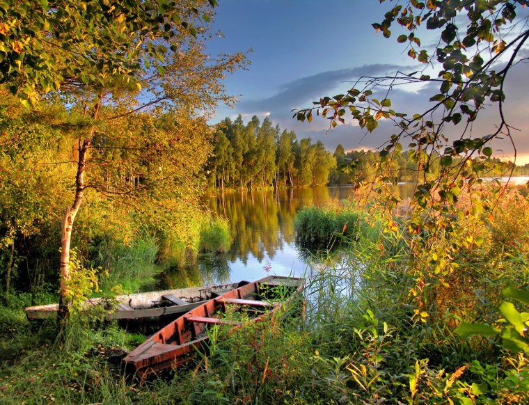 Балашиха осень Пехорка