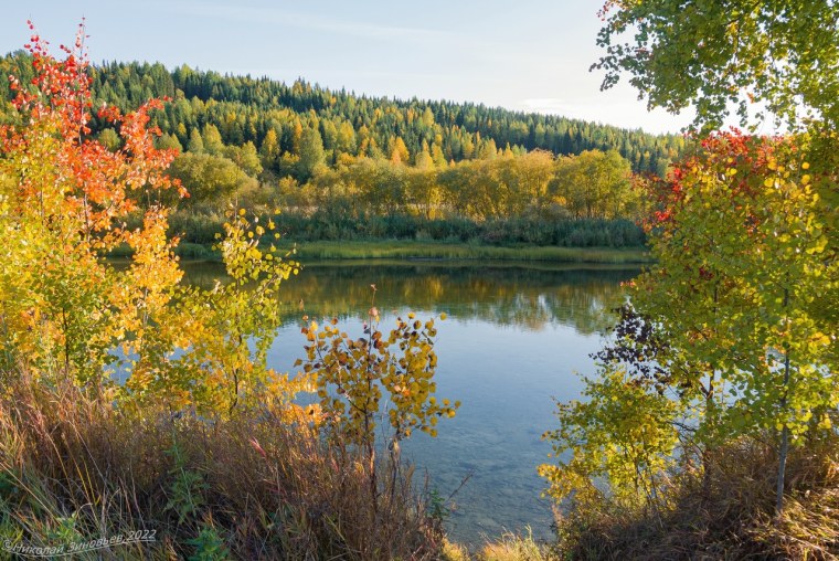 Река Ухра осень