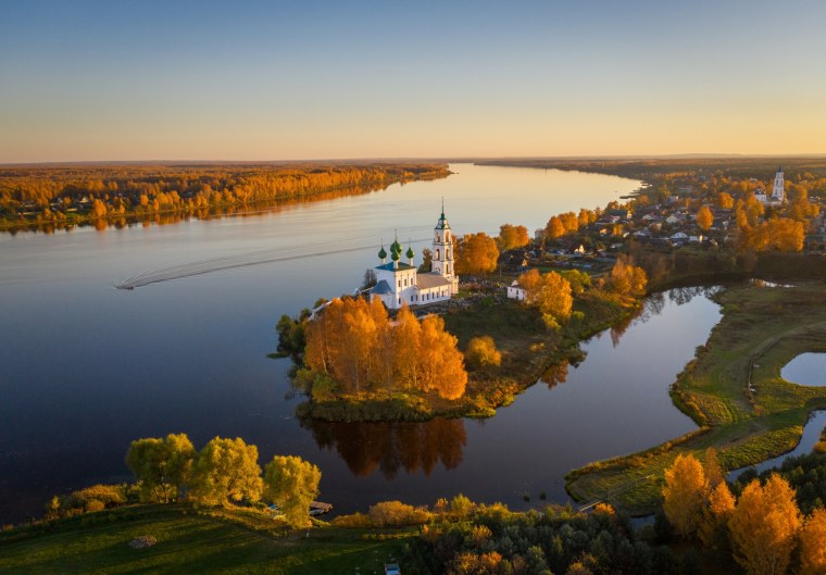 Дьяковский лес деревья береза Ива