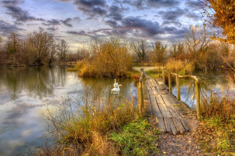 Ранняя осень река