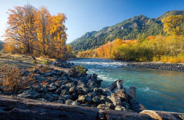 Осенний пейзаж у реки