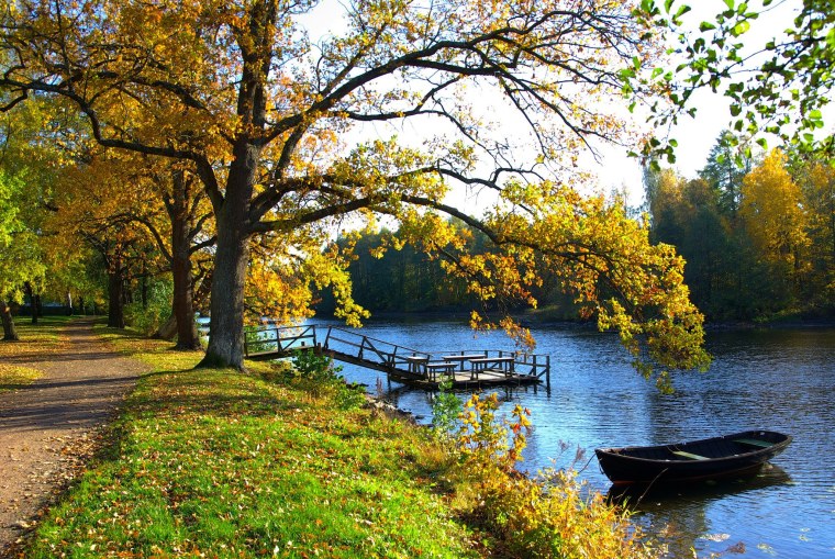 Нерская Золотая осень