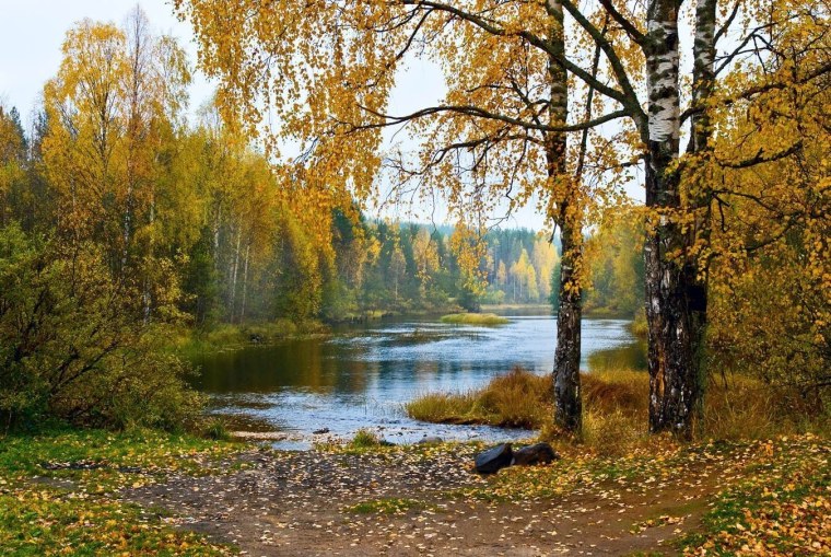 Золотая осень река