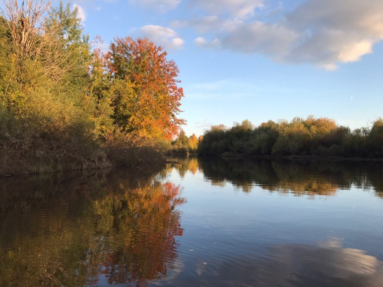 Река Еллоу Стоун