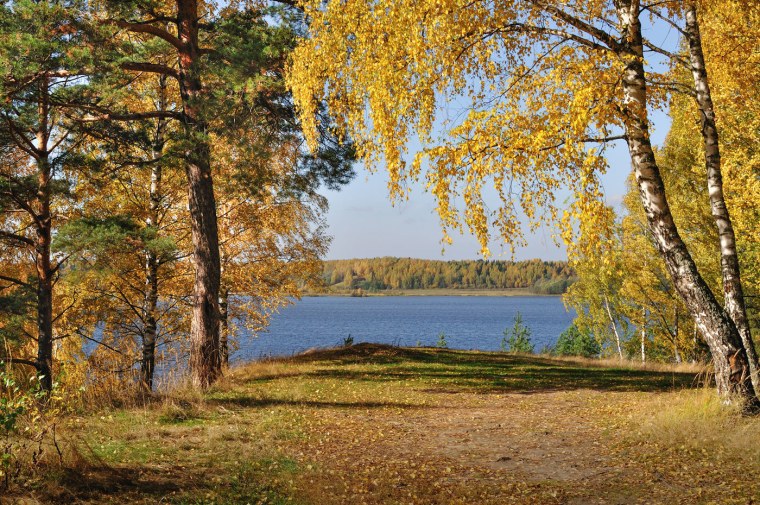 Золотая осень озеро