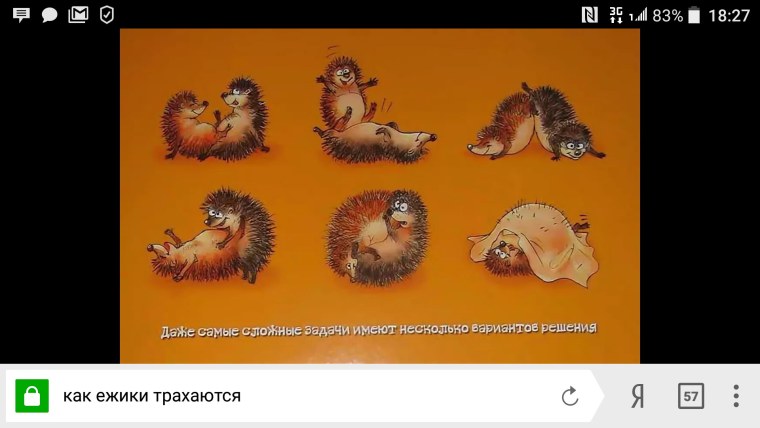 Стих про ежика смешной