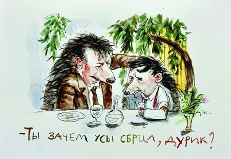 Карикатуры с ежиком