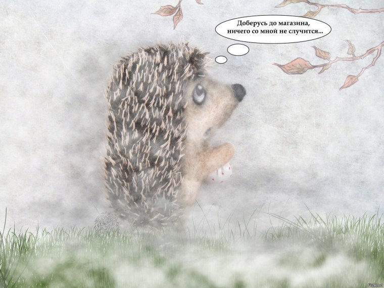 Ежик шарж