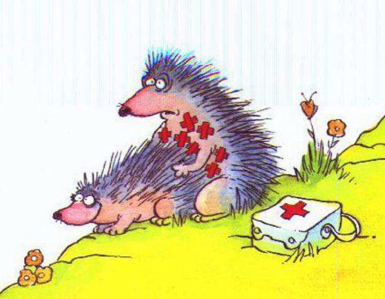 Ежик в тумане юмор