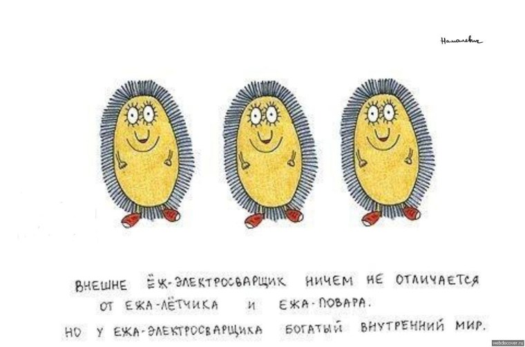 Ежик и Кактус