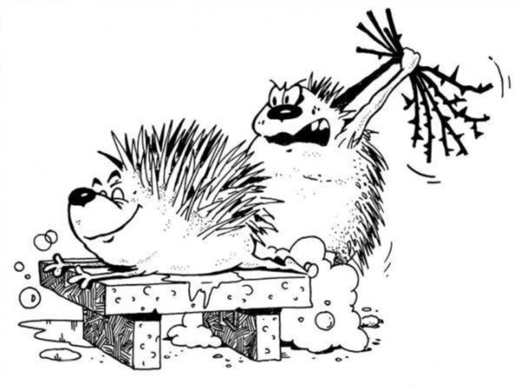 Скрапбукинг ежа