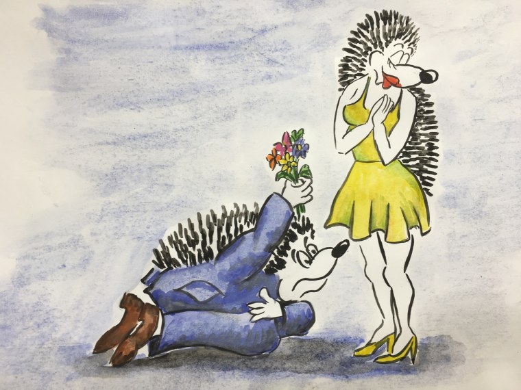 Ежики пенни Блэк