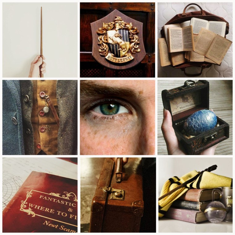 Гарри Поттер Эстетика Гриффиндора