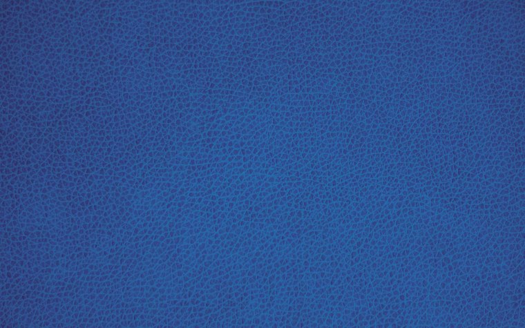 Темно синяя кожа