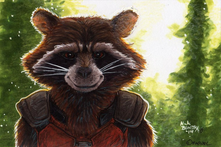 Енот ракета